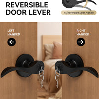 Matte Black Door Handle with Lock