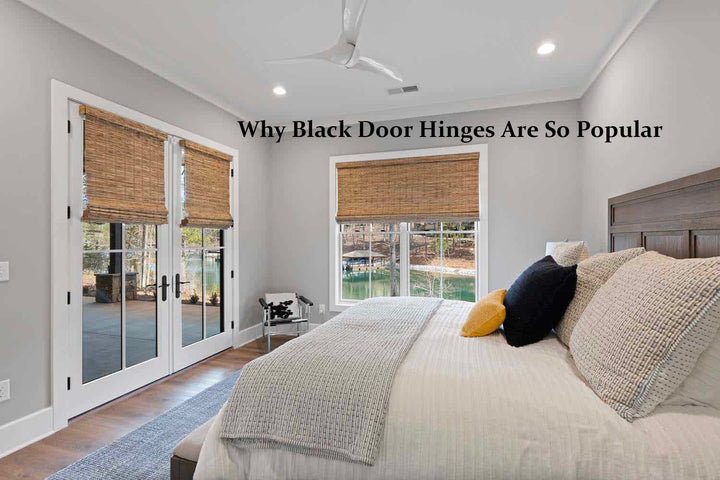 Why Black Door Hinges Are So Popular: Exploring the Allure and Versatility