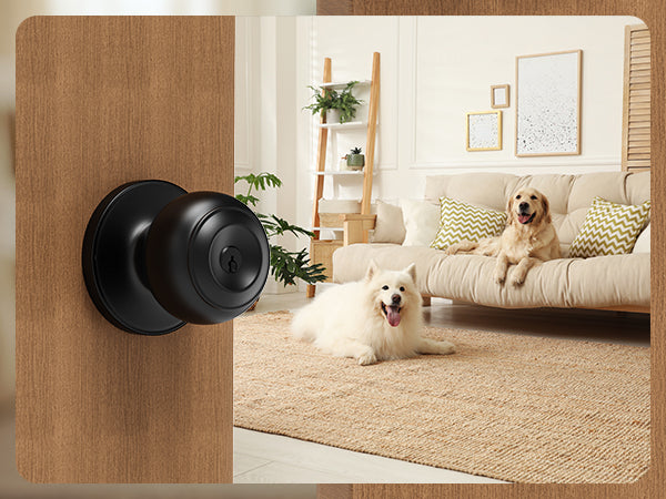 How to Choose the Right Door Lock for Home or Office