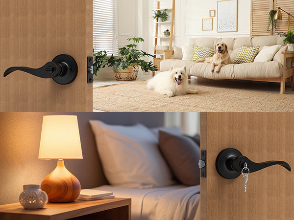 Different Types of Door Locks and Their Uses Explained